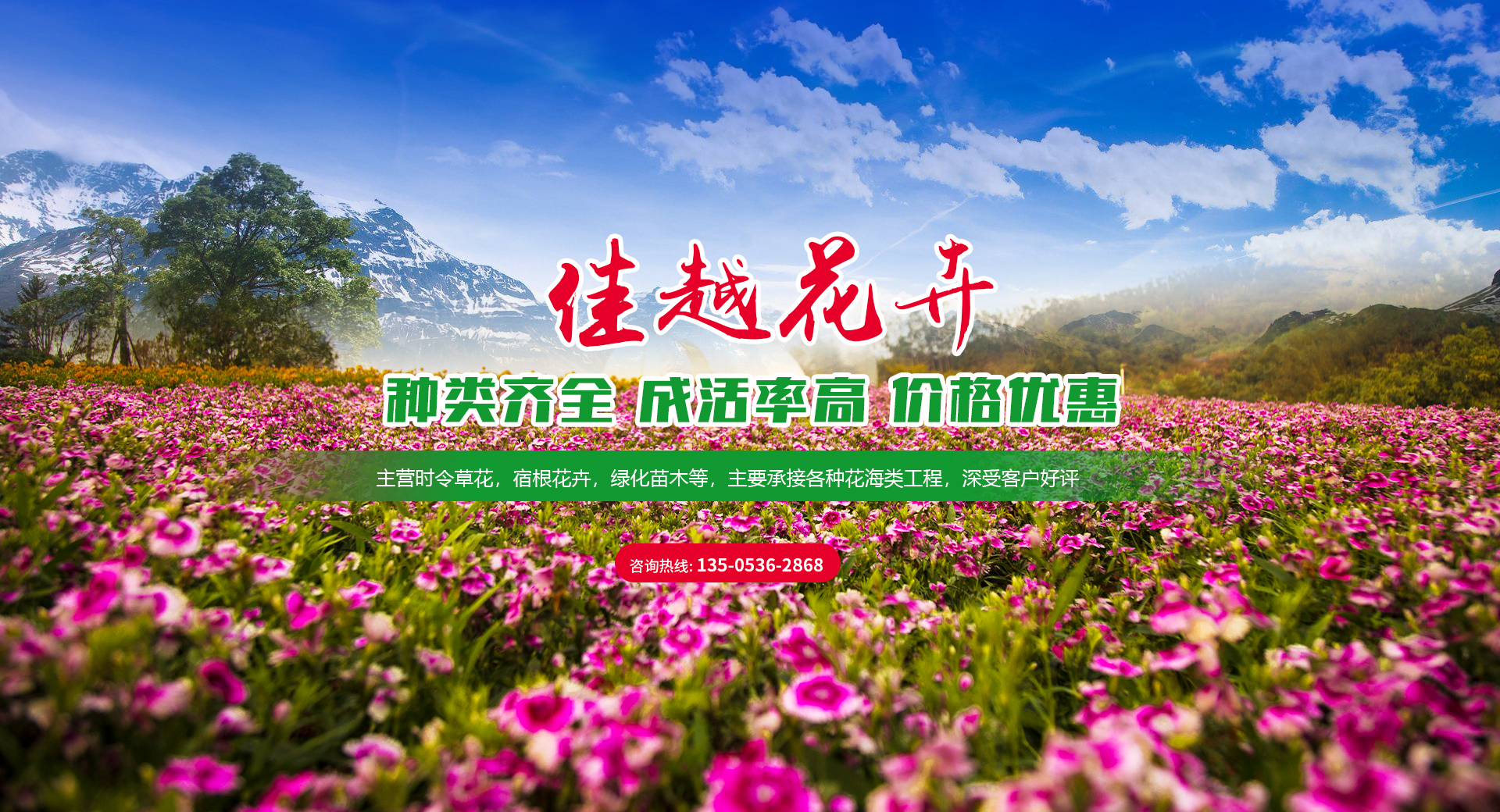 青州市佳越花卉苗木种植专业合作社